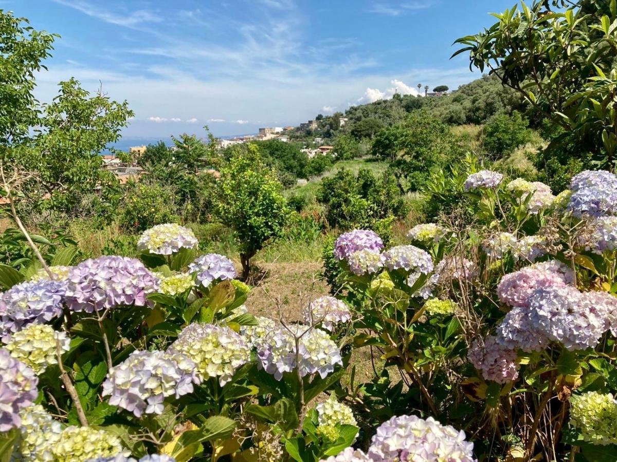 Ricomincio Da Te Villa วีโกเอเกวนเซ ภายนอก รูปภาพ